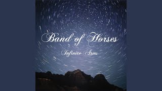 Infinite Arms (Album Version)