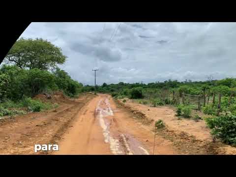 Fazenda 22.000 Hectares em Pilão Arcado - BA | Oportunidade no Vale do São Francisco