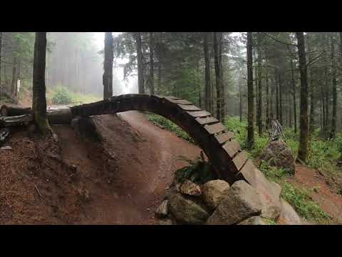 Road Trip Worthy .. Mountain Biking the Feature Rich Forests of the Pacific Northwest  BELLINGHAM