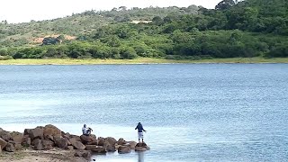 Miniatura do vídeo