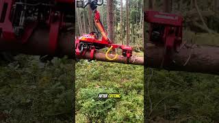 Smart Forestry Technology That Saves Time, Labor & Lives 🌲🚜#viralvideo #trending #shorts #foryou