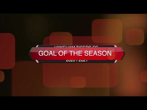 Hykeham Tigers - Goals of the season 20/21