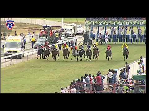 RM33 R5 | Patrol Officer | N.Teeha