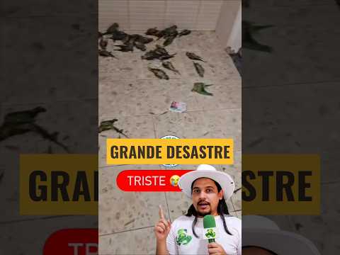 ATENÇÃO: GRANDE DESASTRE EM ARUANÃ DE GOIÁS!