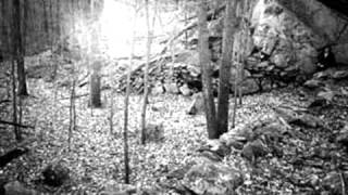 Don&#39;t Fade Away [Dead Can Dance]