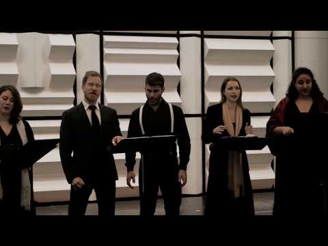 Plenty good room — Kirby Shaw #VIBES02