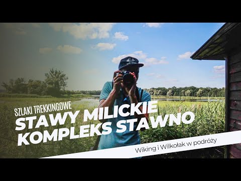 Milickie Ponds: Stawno complex. A beautiful place close to Wrocław. The most interesting attractions