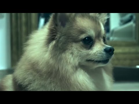 Nay Arias x Dellacruz - 24 Horas (Video Oficial)