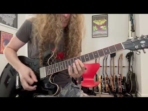 Steely Dan - My Old School (Jeff “Skunk” Baxter outro guitar solo cover)