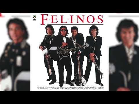 Los Felinos - Todo Esto Es Mío (Visualizador Oficial)