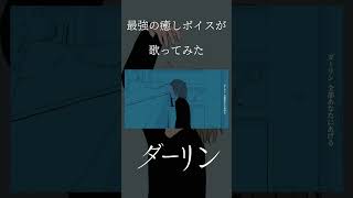 【最強の癒しボイスが】ダーリン Cover / あゑん 【歌ってみた】#shorts