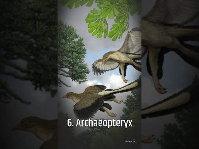 Vídeo relacionado con OLIKIUS Dinosaur Poster Types Of Dinosaurio Poster Triassic, Jurassic and Cretaceous Unframed 12x18inch