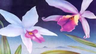 Eumir Deodato ~ San Juan Sunset (1978) Jazz Fusion