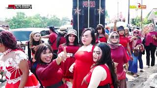 Download lagu MABOK NGESLOT || SINGA DANGDUT PUTRA GENADES || LIVE SUKADANA 21 SEPTEMBER 2022 mp3