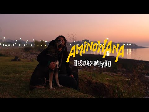 Aminowana :: Descubrimiento