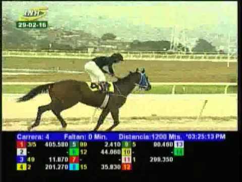 Resumen Lunes, 29 de Febrero de 2016 - La Rinconada