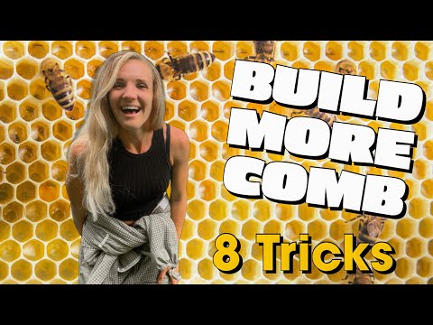 8 Tricks To Encourage Your Bees To Build More Comb EVEN IN JULY! #beekeeping