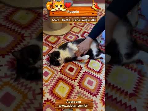 Vídeo de Rogério 