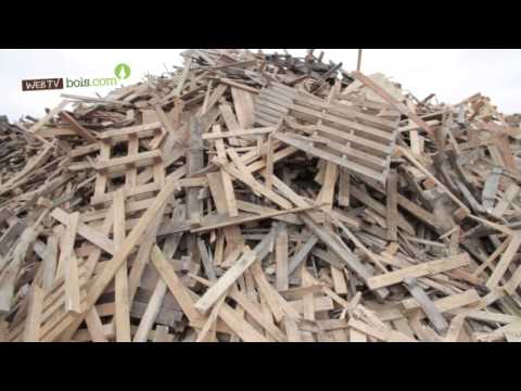 comment traiter les vers a bois