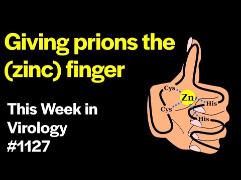 TWiV 1127: Giving prions the (zinc) finger