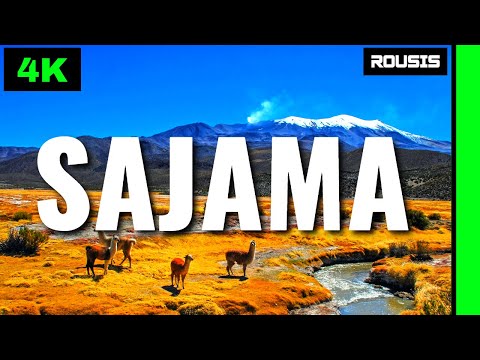 Sajama National Park Bolivia 4K-Relaxation Film With Drone [Aerial View]