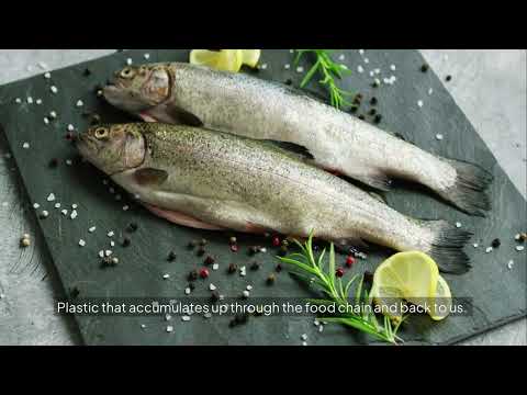 Episode 5: The Fragile Edge: Hope for our changing coasts