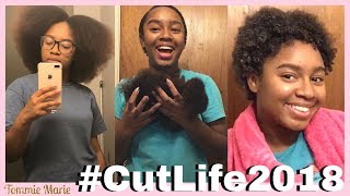 I CUT OFF ALL MY HAIR!! | Tommie Marie