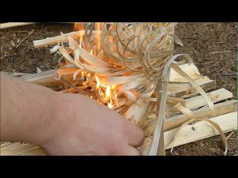 Elementary Wilderness Bushcraft Course