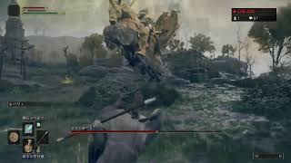 【ELDEN RING】死にゲークリアできる気がしません　パート2