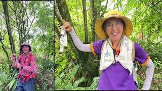2025.09.14 群英登山隊 台北大眾走第三段 擎天崗東峰 石梯嶺 杏林山 頂山 香對山風櫃嘴