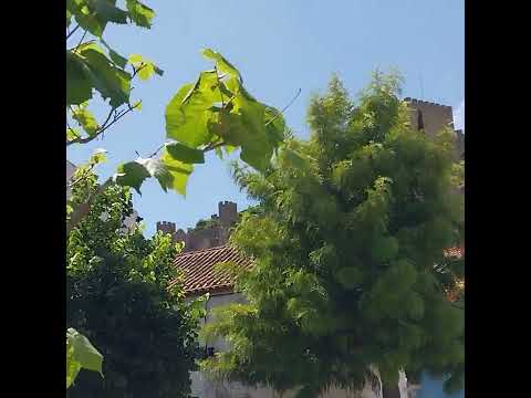 Kiwi Fruits, Distant Mosque in Orchard Walks Montemor Castle Neighbourhood