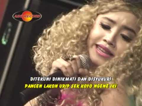 Belajar Edan - Sarah Brilian | Sonata Jring Tenan