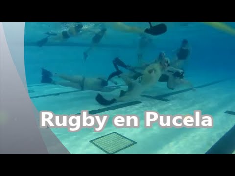 PiPe - Rugby en Pucela