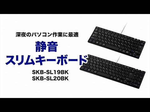 キーボード ブラック SKB-SL19BK [有線 /日本語配列 /パンタグラフ