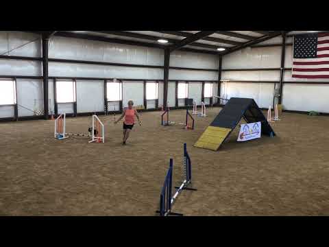 Spinner- Standard - ST/P1 50 X 60 Event #112234 Course 1 of 2