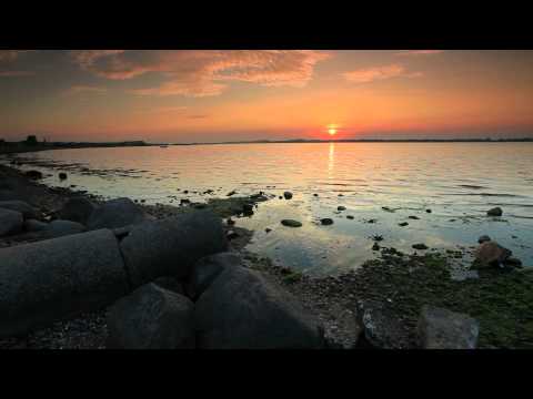 Errorist - Welcome Home