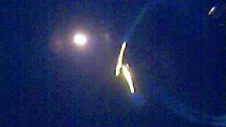 Angels Of Fire Hbt e Lover Boy