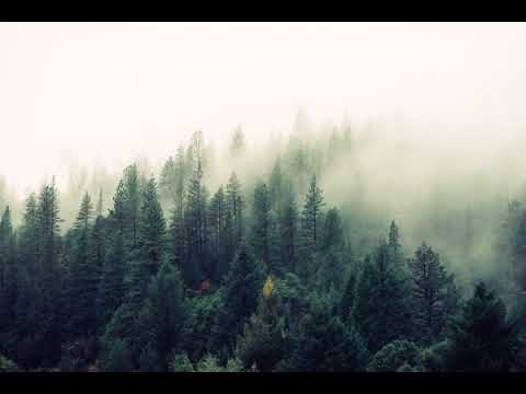 Song: Sylvan Janisha