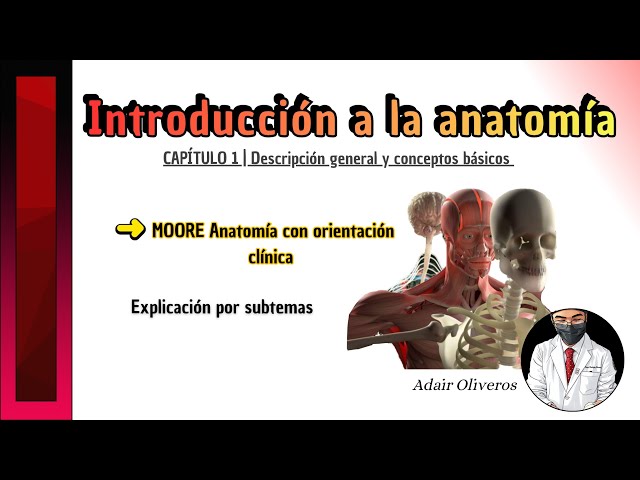 Vídeo relacionado con Anatomía del amor (Serie Hospital Whitestone 1)