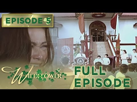 Wildflower
