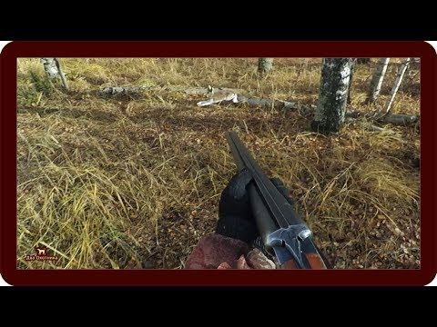18+ Лучшие выстрелы 2018 года!!! Трофейные кадры!!!