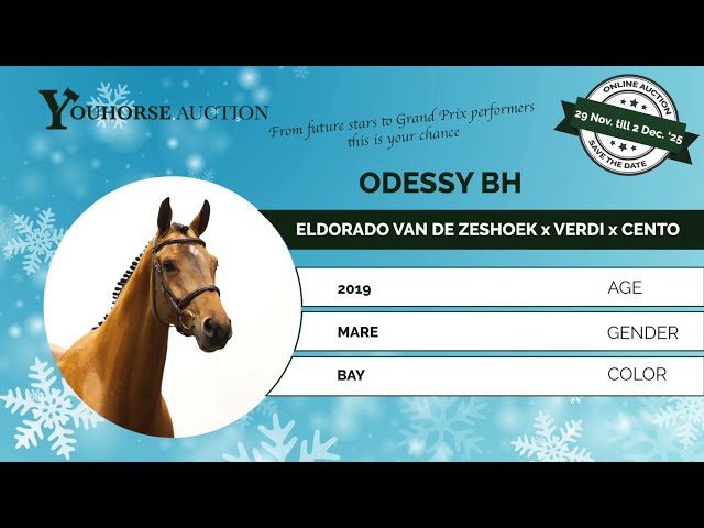 Odessy BH flatwork