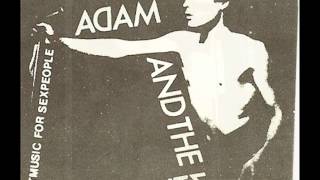 ADAM &amp; THE ANTS  KICK