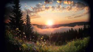 ein kleines wunder.wmv