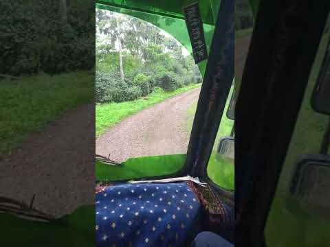 a coffee farm in south west Ethiopia, bebeka.