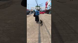 Download lagu The best walking buddy, never complains when asked to go for a stroll... especially if we're head... mp3