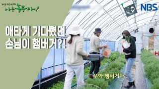 [열정 부부의 촌마을 허브 하우스] 최고의 농사 파트너는 당신~!