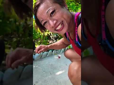 #cat #maldives #cute #lovely #jaifitnessrajani #youtubeshorts