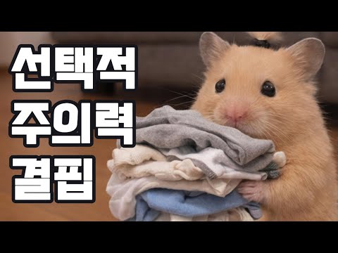 주의력도 결국 선택적이다