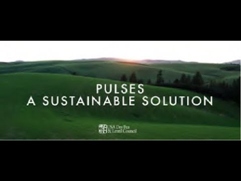 Pulse Crop Sustainability